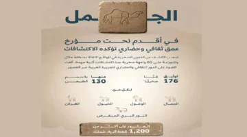 الفن الصخري بصحراء النفود يكشف أسرار حضارات تمتد لأكثر من 12 ألف عام